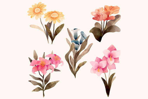 کالکشن وکتور طرح های گرافیکی گل های مختلف